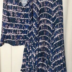 Altuzarra Print Pleated Skirt & Shirt Set